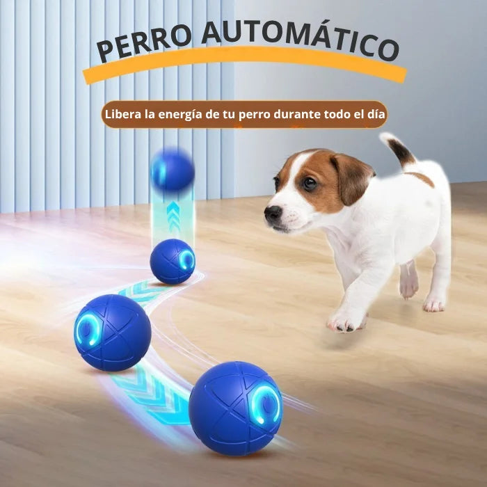 Cepillo de Vapor 3 en 1 para perros y gatos + Pelota Interactiva