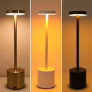 Lámpara LED Portátil