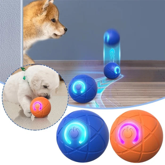 Cepillo de Vapor 3 en 1 para perros y gatos + Pelota Interactiva